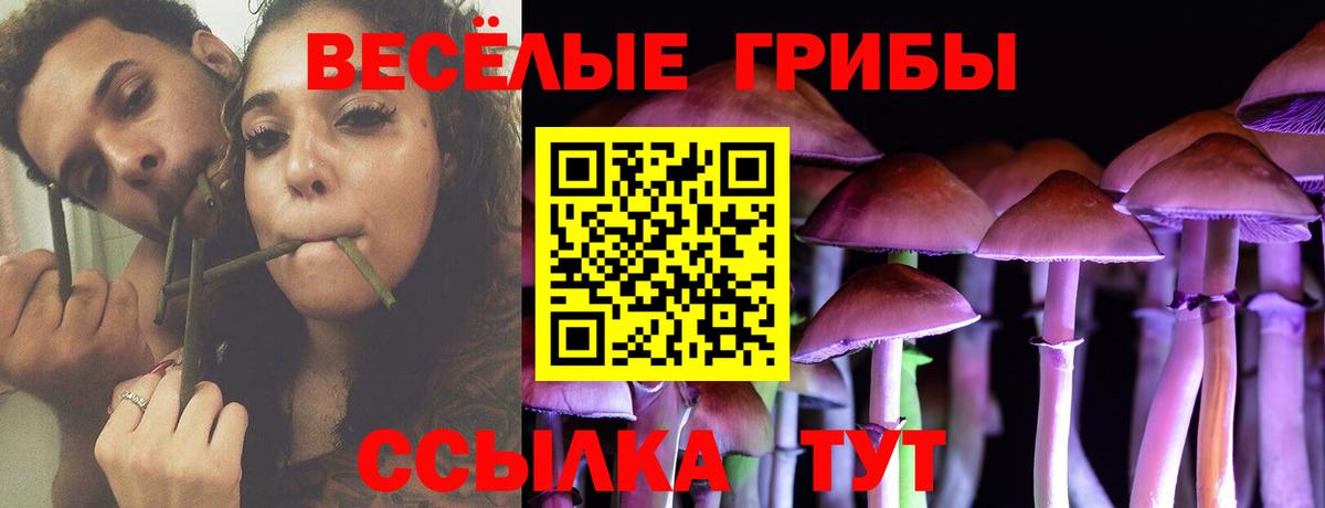 где найти   Псилоцибиновые грибы Magic Shrooms  Вход с VPN  Десногорск 